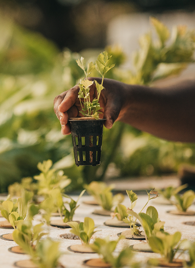 Driving Value Creation Through Excellence