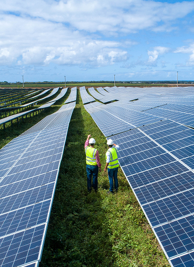 Our People & Culture